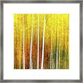 Memories Of Fall Framed Print