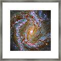 Messier 61 Framed Print