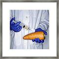 Mid Section Studio Shot Of A Scientist Injecting A Large Carrot With A Syringe Framed Print