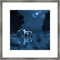 Midnight Elephants At The Watering Hole Framed Print