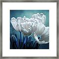 Midnight Whispers Framed Print