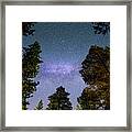 Milky Way Over A Forest Framed Print