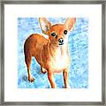 Minnow The Rescue Framed Print