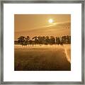 Mist On A Grassland In The Netherlands At Sunrise Framed Print