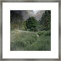 Misty River In The Latvian Countryside Framed Print