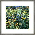 Mixed Colourful Wildflowers Framed Print