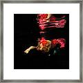 Model Underwater Swimming Upside Down Framed Print