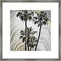 Modern Art Lovely Palm Trees Framed Print