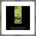 Mojito Cocktail - Classic Cocktail Print - Black And Gold - Modern, Minimal Lounge Art Framed Print