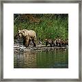 Momma On The March Framed Print