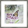 Monarch On Purple Framed Print