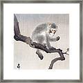 Monkey In Cockatoo By Ohara Koson Framed Print
