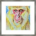 Monkey King Framed Print