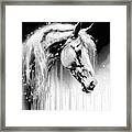Monochrome Abstract Horse Portrait - 02309 Framed Print
