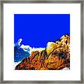 Monterey Ocean View Framed Print