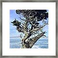 Monterey Peninsula Point Lobos Framed Print