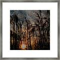 Moody Sunset On The Lake Framed Print