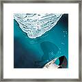 Morning Lights Of The Northern Seas Framed Print