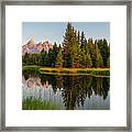 Morning Reflection-  Grand Teton National Park Framed Print