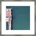 Morning Swim Around Scripps Pier Framed Print