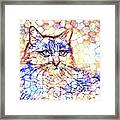 Mosaic Cat 670 Framed Print
