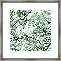 Moss Agate Framed Print