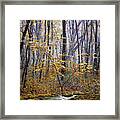 Mossy Creek Through The Autumn Woods Framed Print