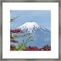 Mount Fuji And Red And Green Leaves Framed Print