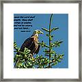 Mount Up With Wings Framed Print