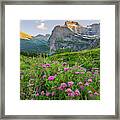 Mountain Meadow Framed Print