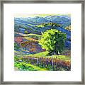 Mountain Oak Framed Print