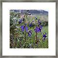 Mountain Spring Framed Print