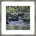 Mountain Water , Smoky Mountains Framed Print