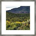 Mountains And Wildflowers Framed Print