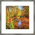 Mouth Of Wilson In Autumn Framed Print