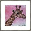 Mr. Giraffe Framed Print