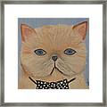 Mr Grumpy Framed Print