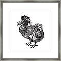 Mrs Dodo Framed Print