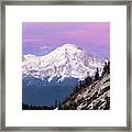 Mt. Shasta In Pink Framed Print