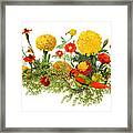 Mum Garden And Parrot Framed Print