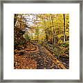 Munising Falls Trail In Autumn Framed Print