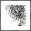 Murmurations Framed Print