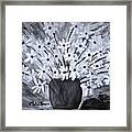 My Daisies Black And White Version Framed Print