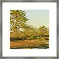 My Favorite Pine 1 Framed Print