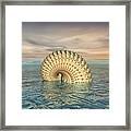 Mysterious Creature Framed Print