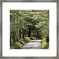 Narrow Country Road Framed Print