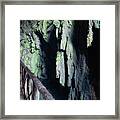 Natural Park Of The Monastery Of Piedra - Des-saturated Edition Framed Print