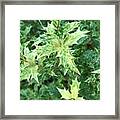 Nature In Green Framed Print
