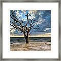 Nature's Artistry Framed Print