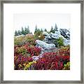 Nature's Autumn Sculpture Framed Print